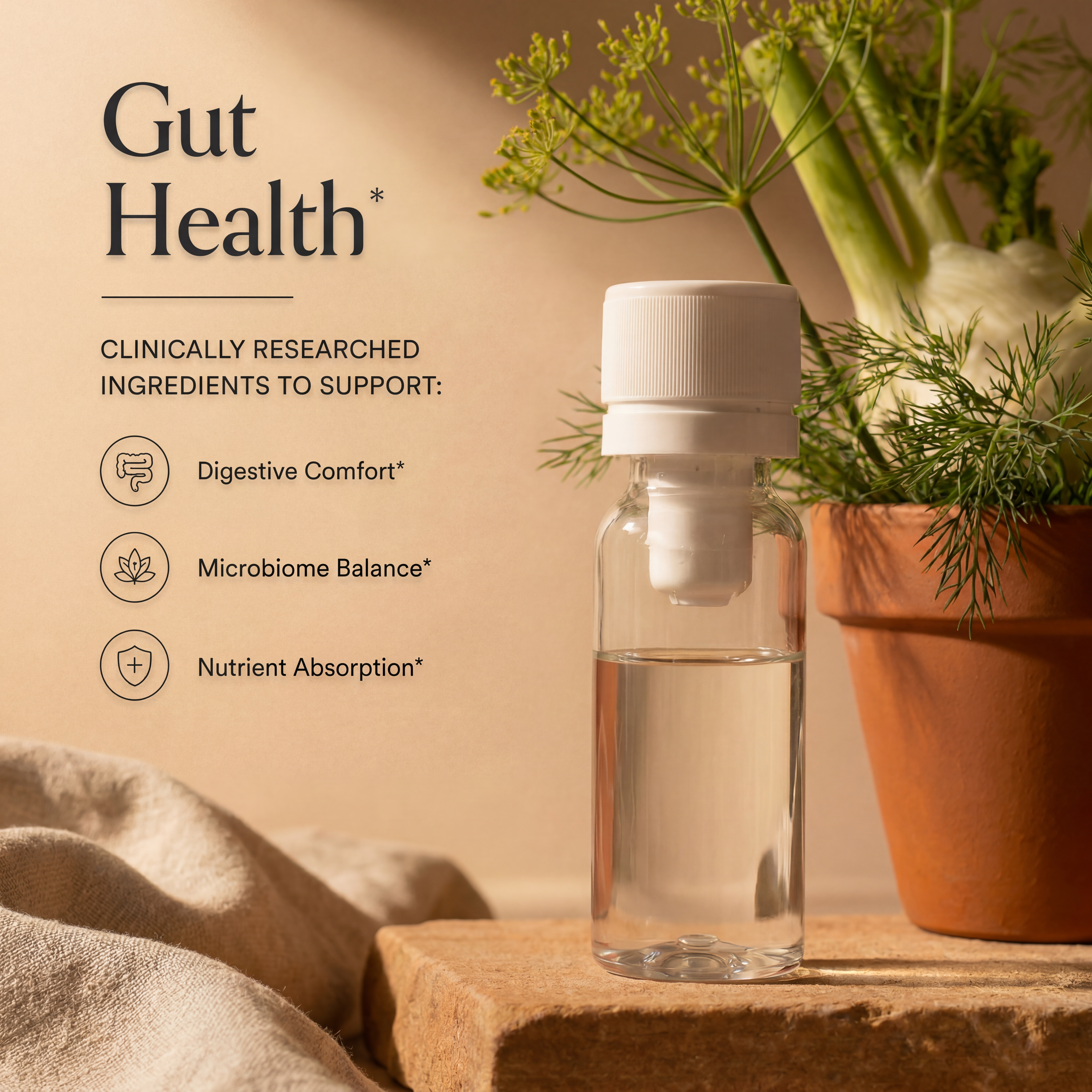 Gut Health Formula (6 Pack)