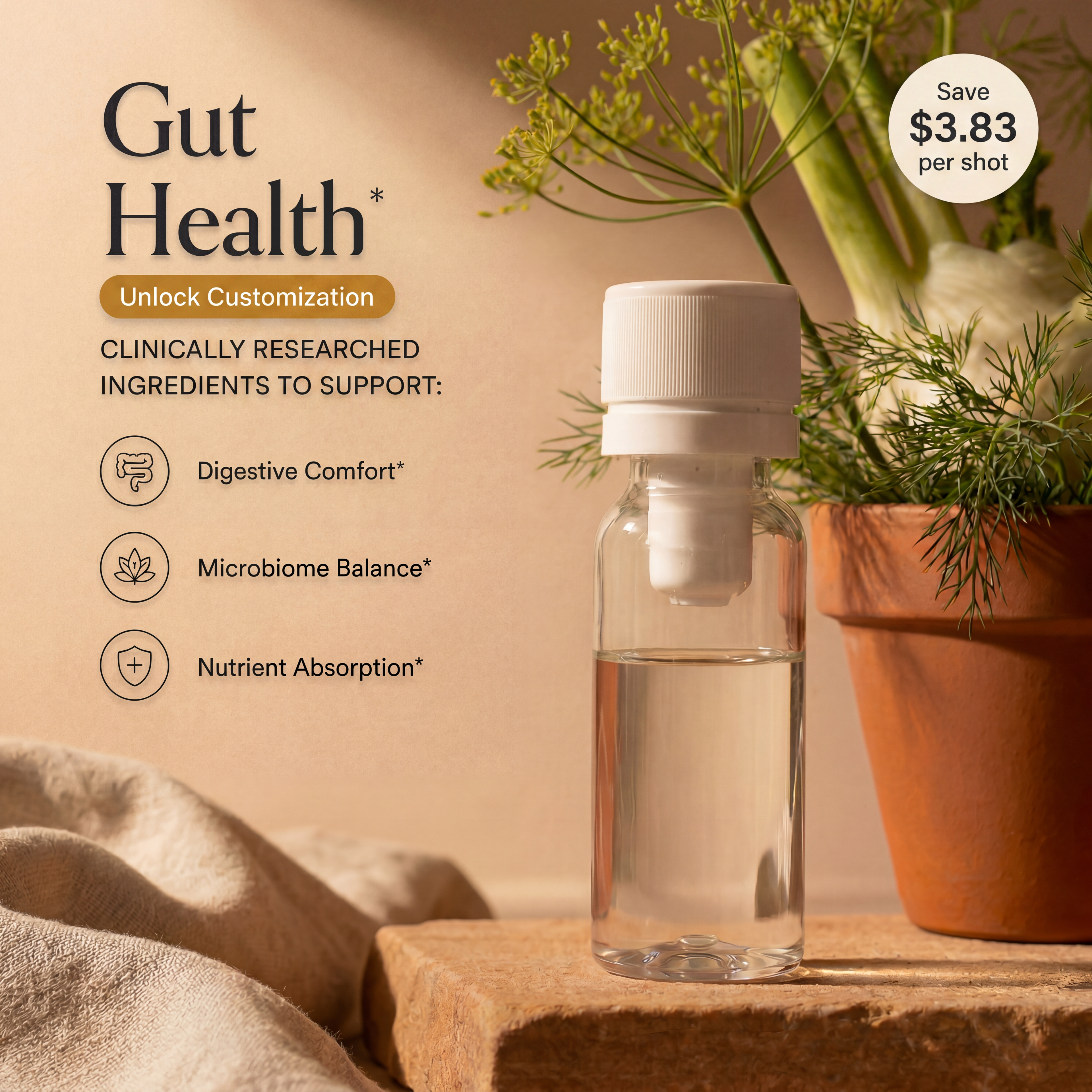 Gut Health Formula (12 Pack)